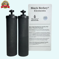 Berkey Authentic Black BB9-2 Water Replacement Filters (2-Pack) – Black Berkey Purification Elements
