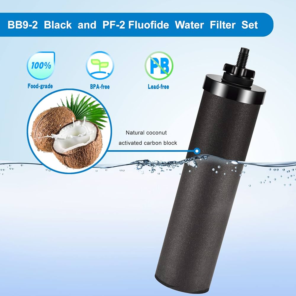 Berkey Authentic Black BB9-2 Water Replacement Filters (2-Pack) – Black Berkey Purification Elements